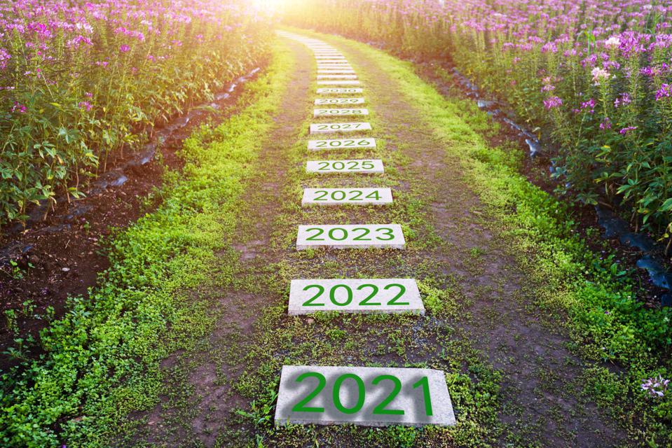 a imagem mostra um caminho em um jardim, o caminho, no centro, mostra tijolos com números escritos representando o futuro.