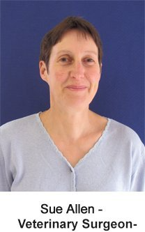 Sue Allen. Veterinary surgeon and director