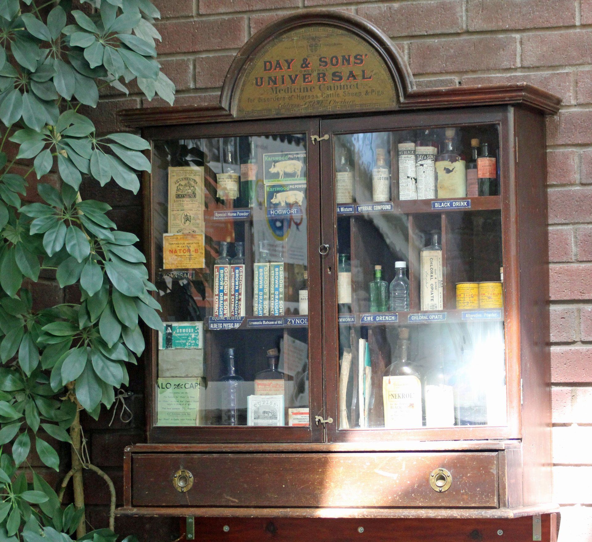 The historical veterinary cabinet