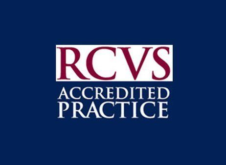 RCVS Accredited Practice logo