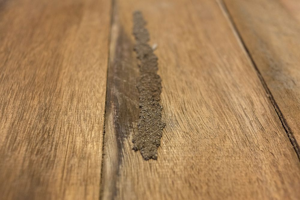 Brown Wooden Floor With Termite Activity — Dusted Pest Management in Temora, NSW