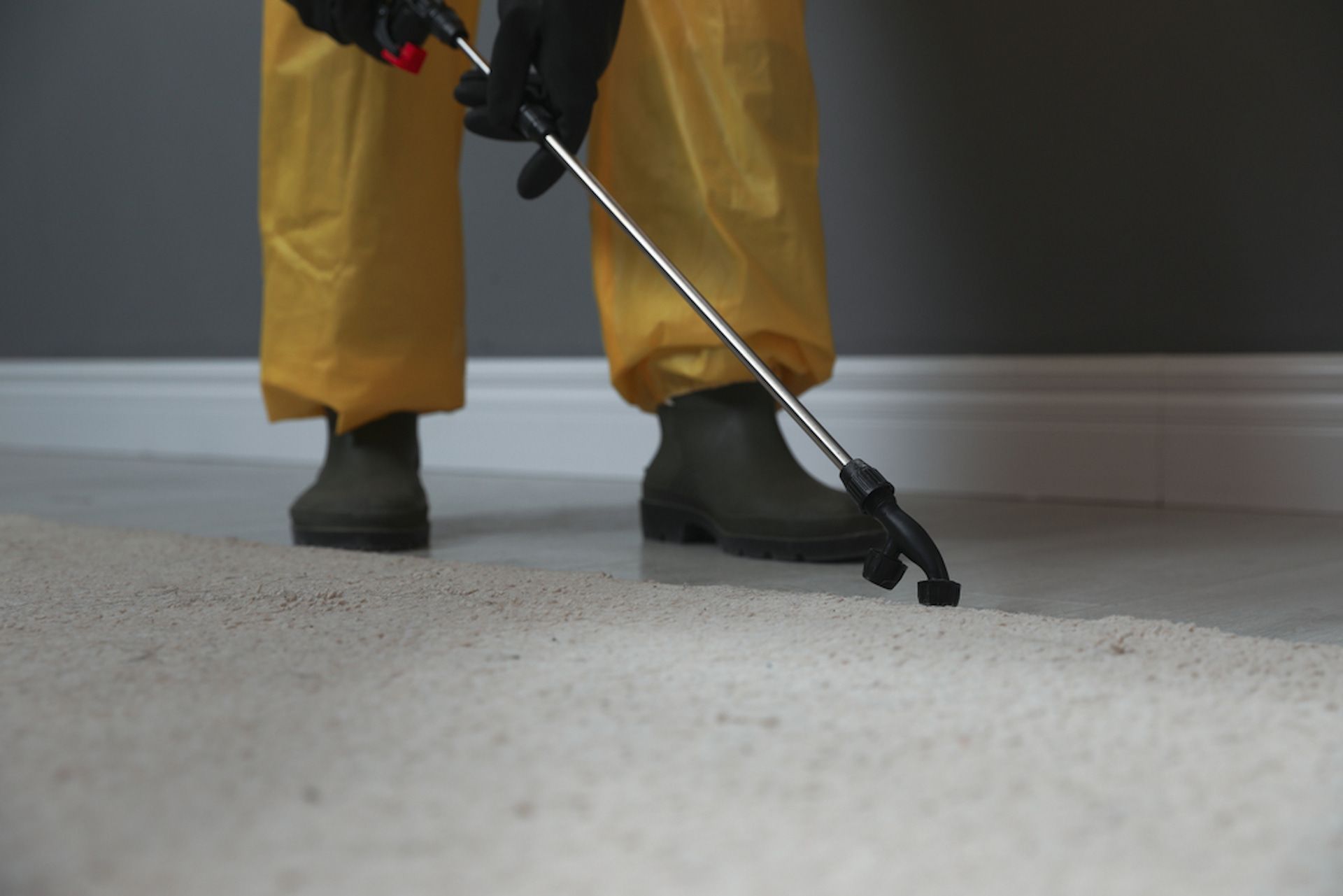 Person in yellow protective suit sprays a carpeted floor, indoors. — Dusted Pest Management in Temora, NSW