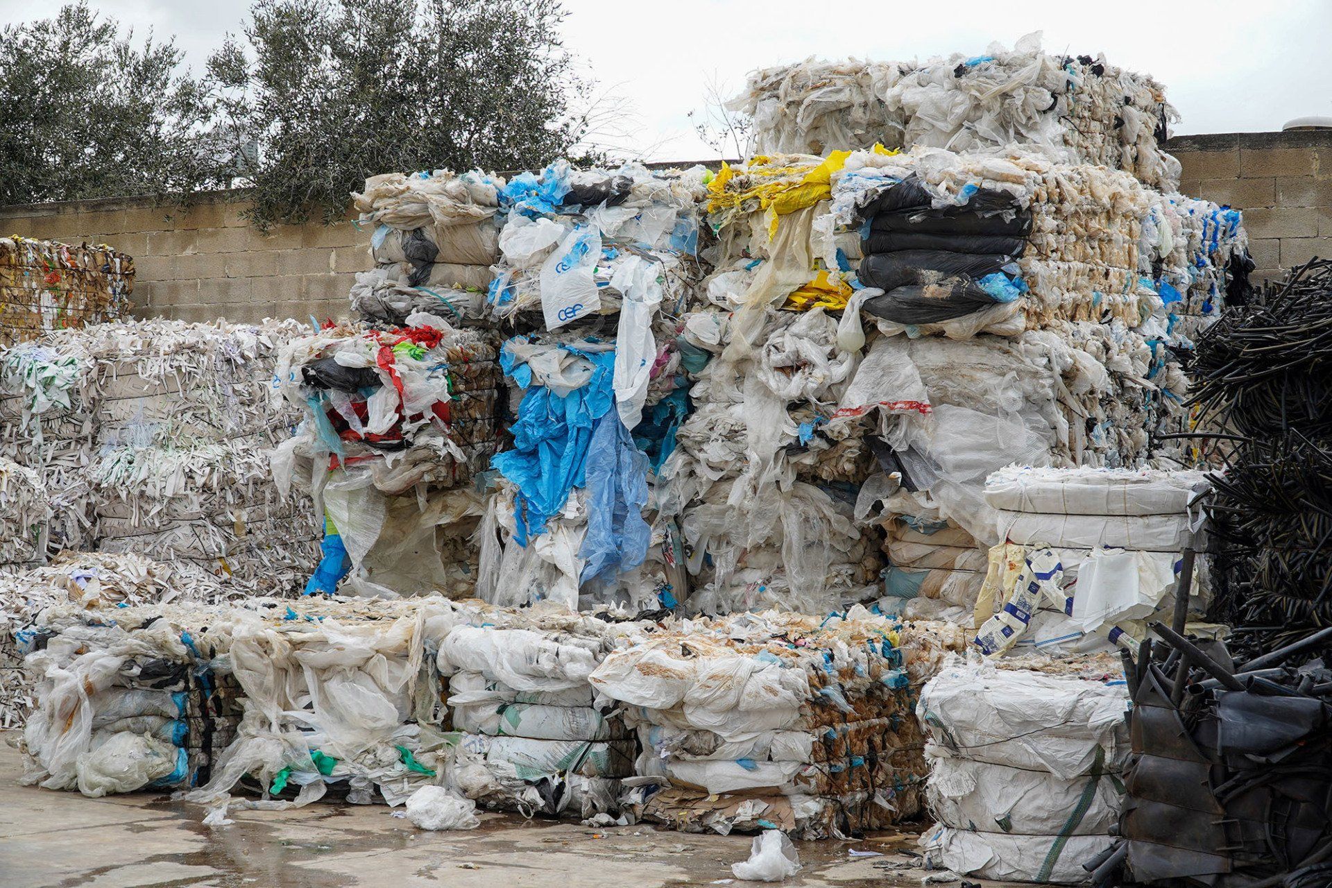 Bottiglie di plastica