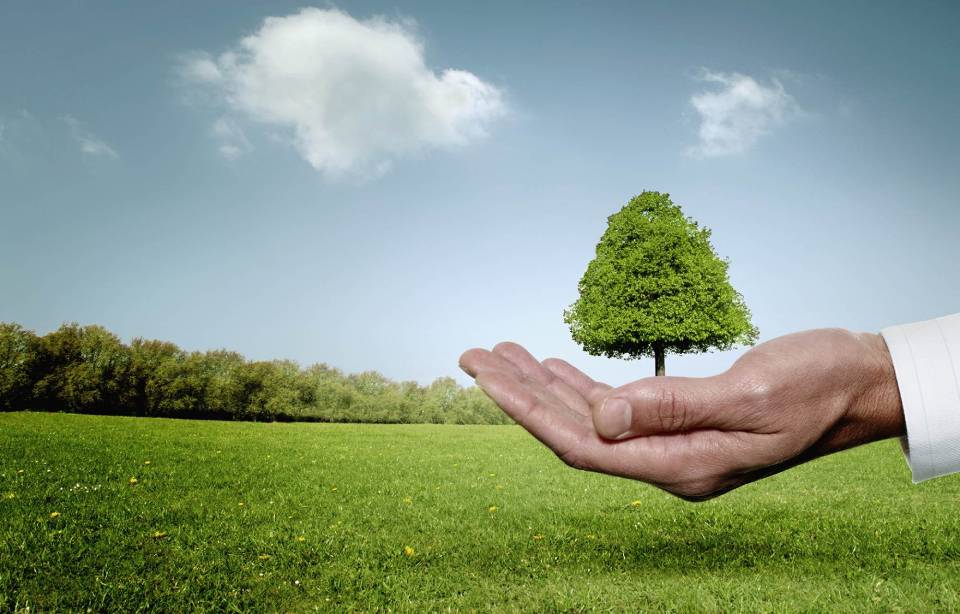 Consulenza ambientale