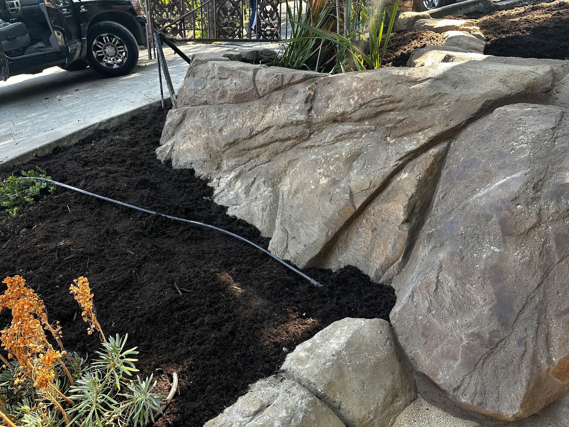 A rock garden with dark mulch, irrigation tubing, and green plants.
