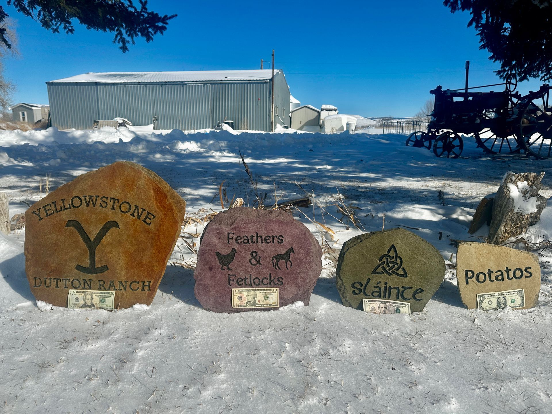 Four engraved rocks in snow: 