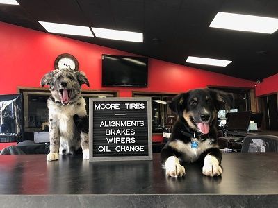 Two dogs at Moore Tires with a sign listing services. Red and black background.