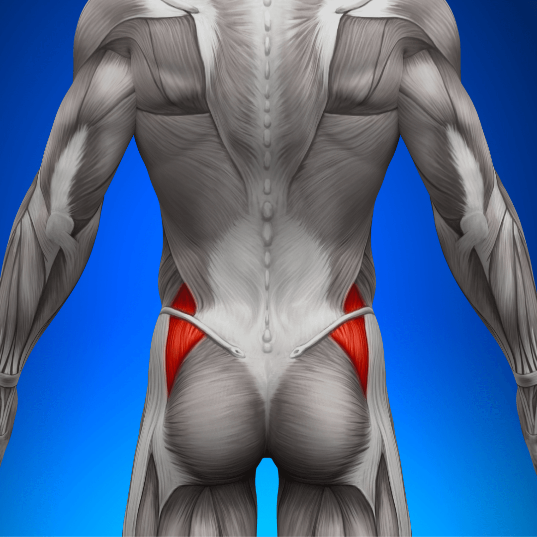 Stronger Glutes