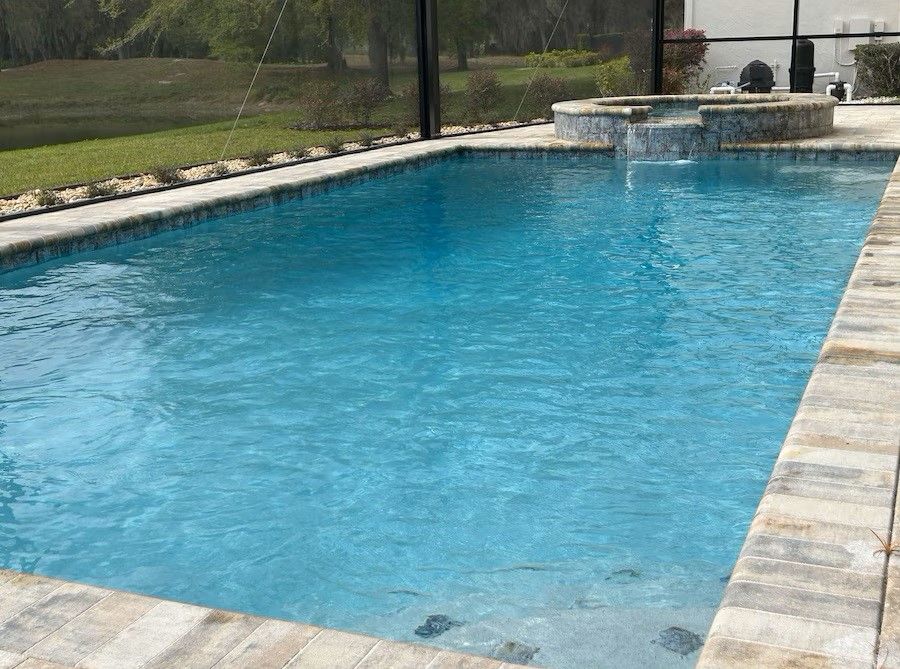 A large swimming pool filled with blue water in a backyard.