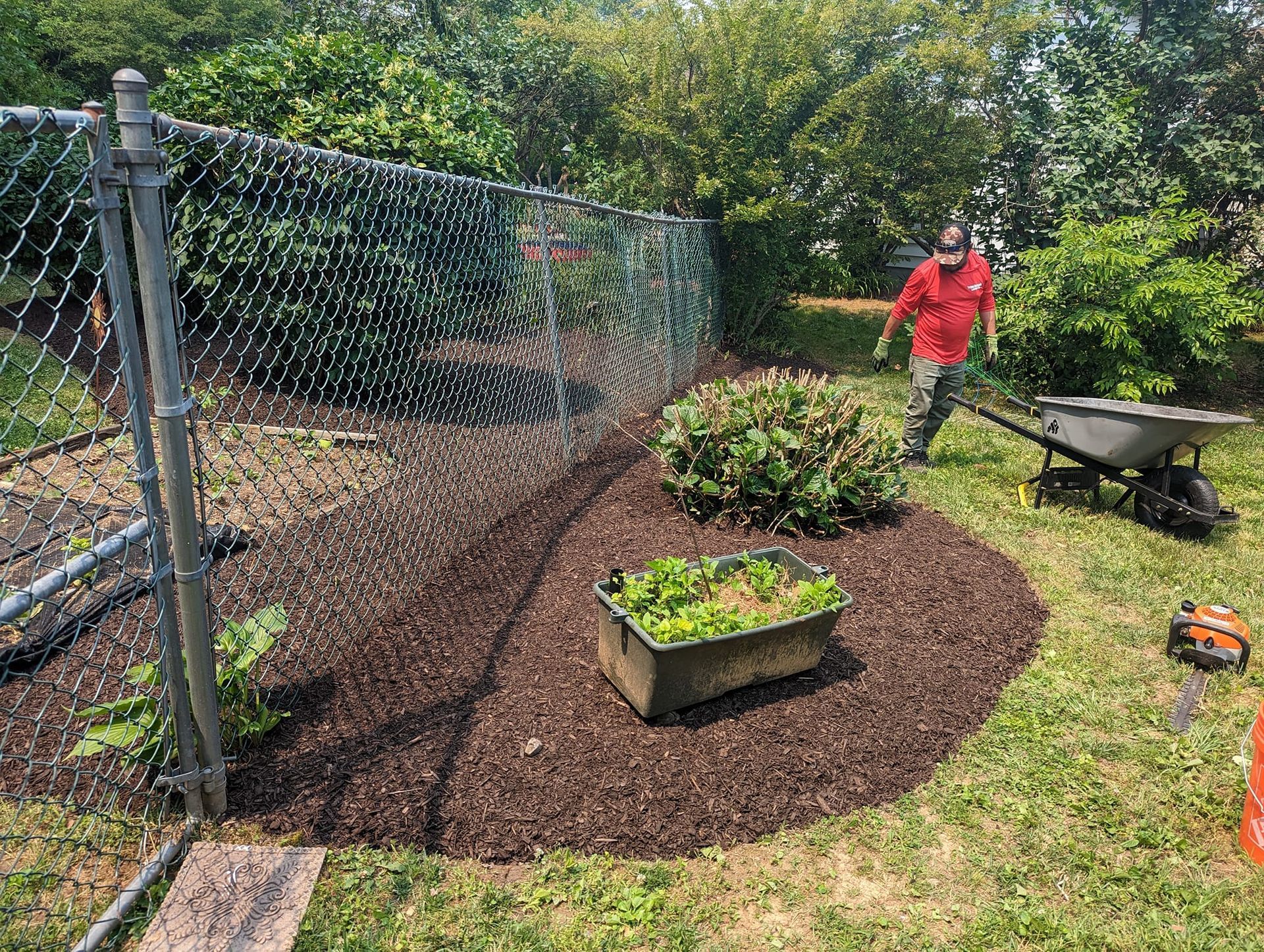 A person in a red shirt pushes a wheelbarrow near a mulched garden bed along a chain-link fence.