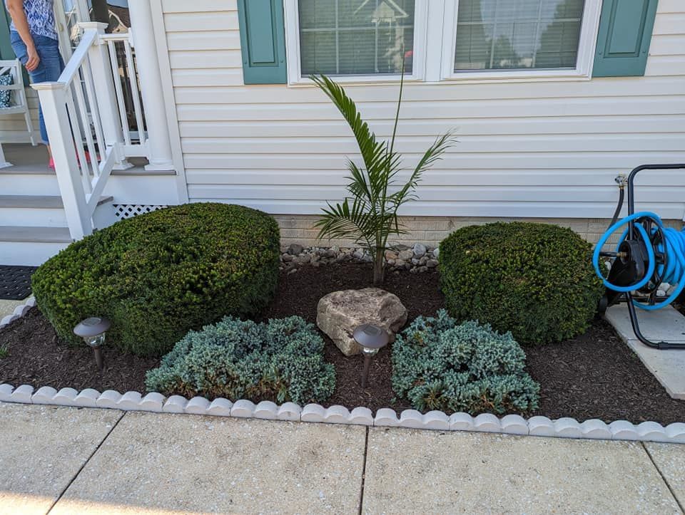 A garden bed beside a house with two round shrubs, two low-lying blue-green shrubs, a central palm plant, and a rock.