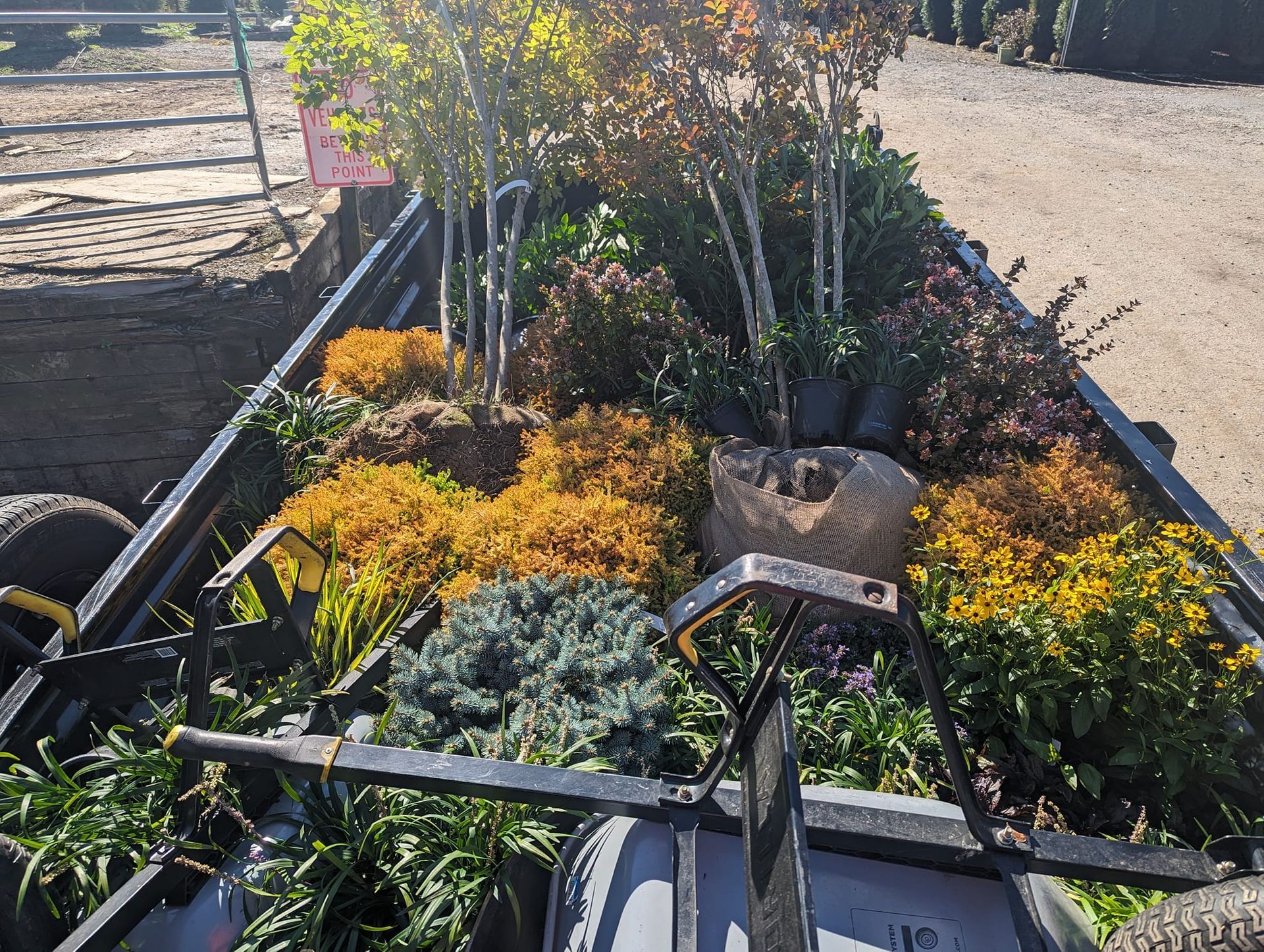 A variety of potted trees, shrubs, and ornamental plants packed into the bed of a utility trailer outdoors.