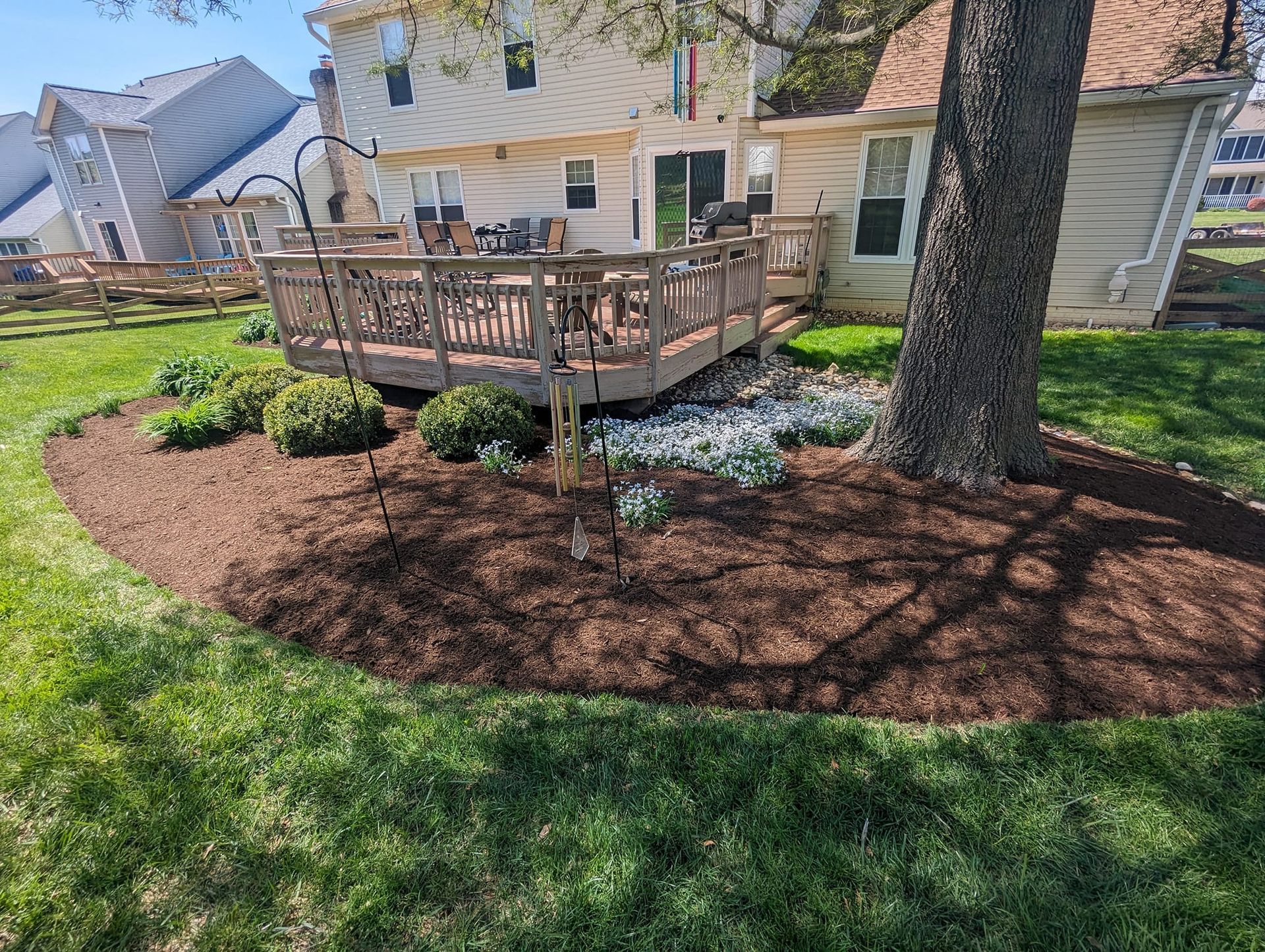 A wooden backyard deck sits behind a mulched garden bed with shrubs and a large tree on a sunny day.