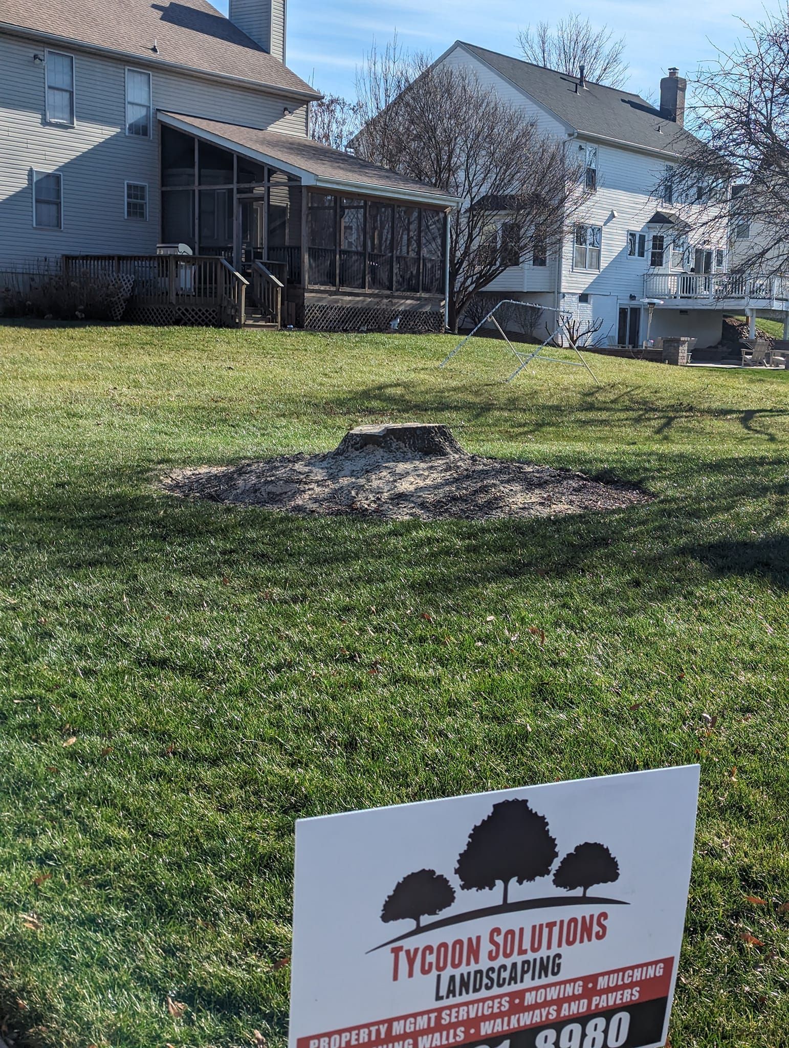 A yard with a freshly ground tree stump in the grass.