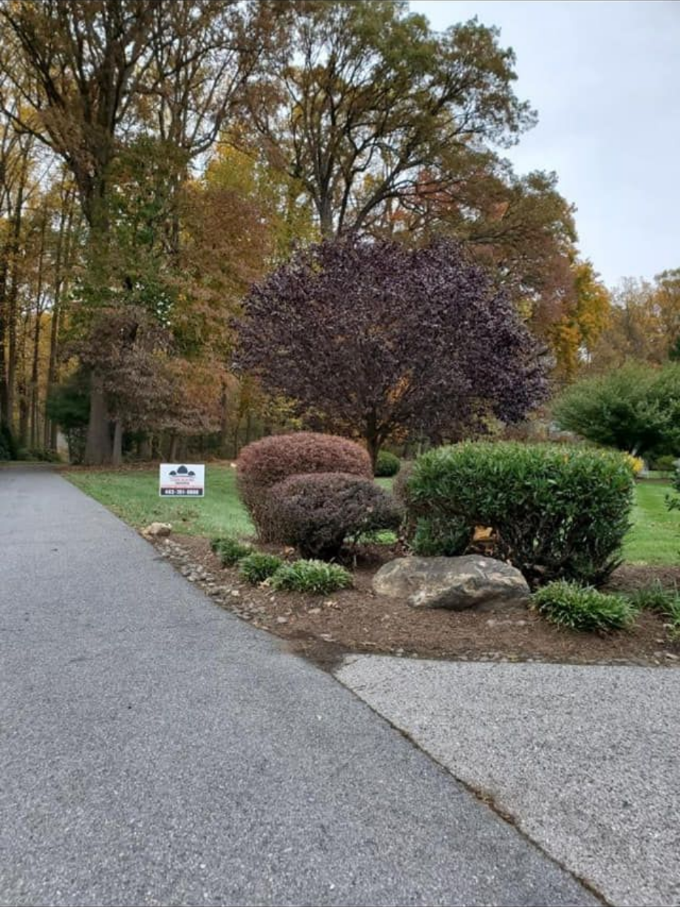 A paved driveway leads toward a yard with trimmed shrubs, a large purple-leaf tree, and a small sign near a wooded backdrop.