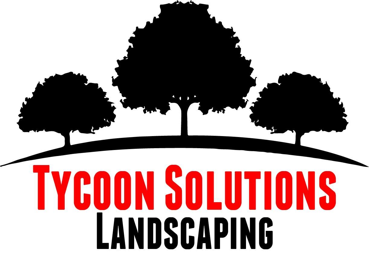 Tycoon Solutions LLC