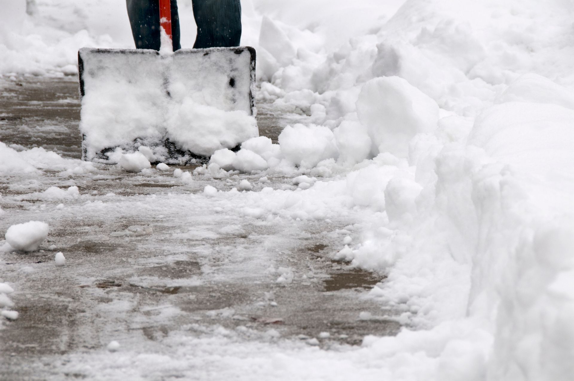 A person using a black shovel to clear snow from a concrete sidewalk.
