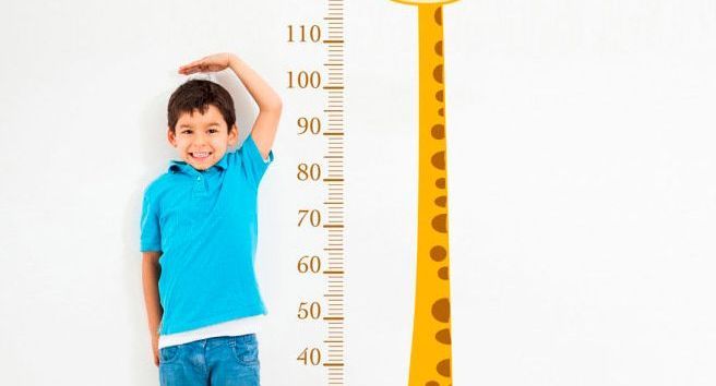 Um menino está medindo sua altura ao lado de uma tabela de altura de girafa.