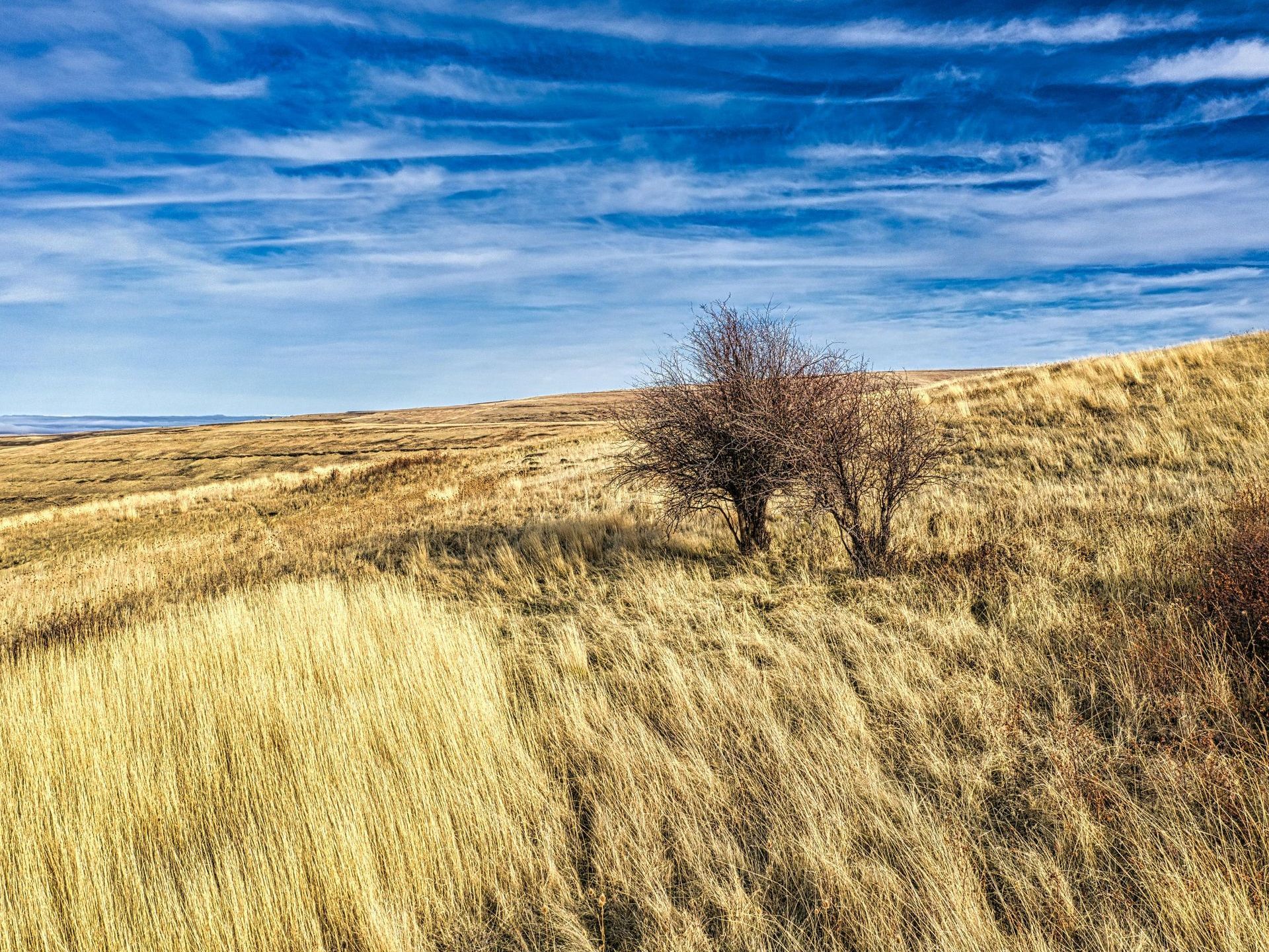 #HorseProperty
#CreativeFinancing

#OregonRealEstate

#BuyLand

#RealEstateDeals

#DividableParcels