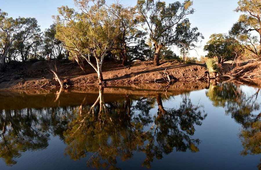 Trees reflected in calm water, along a riverbank in the Australian outback.
