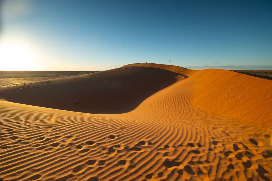 Sand dune in a desert landscape under a clear blue sky, illuminated by the sun.