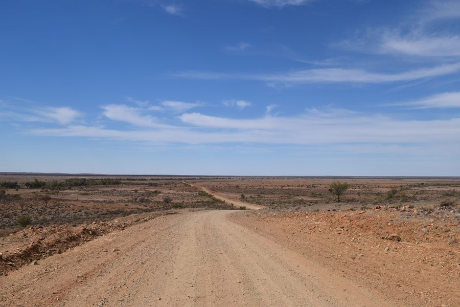 Dirt road leading into a vast, dry landscape under a blue sky with sparse clouds.