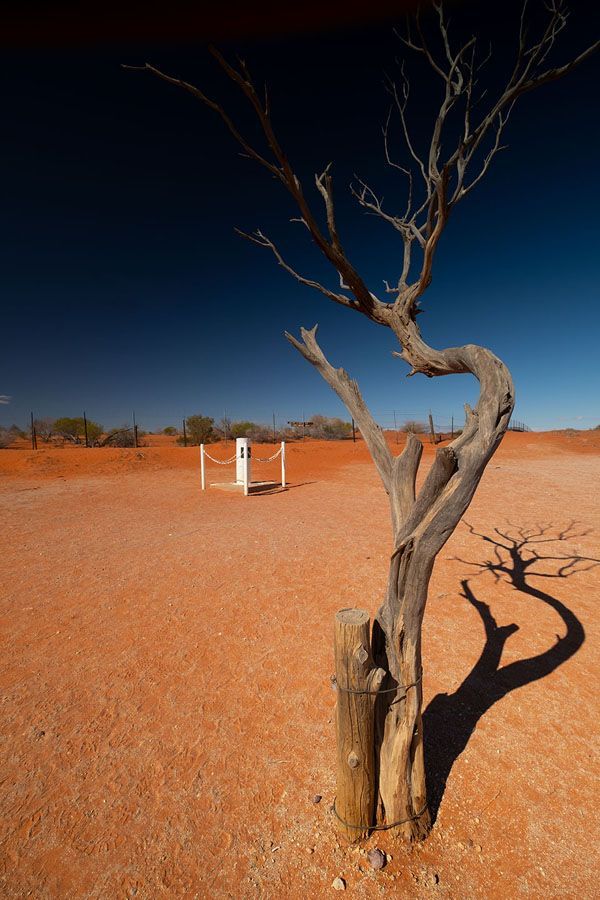 Bare tree casting a shadow on red desert sand under a deep blue sky.