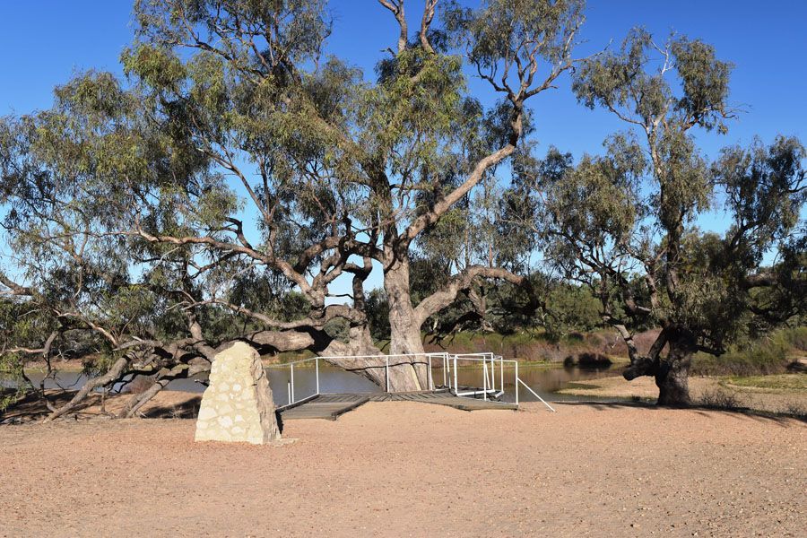 A large tree with a bridge over water and a stone marker in an outdoor setting on a sunny day.