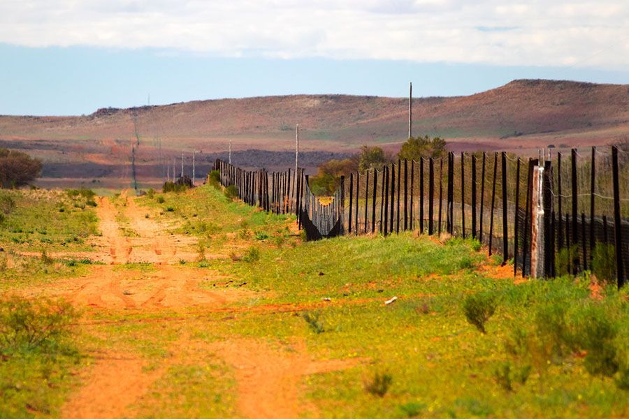 Dirt road alongside a tall wooden fence in a vast, arid landscape under a partly cloudy sky.