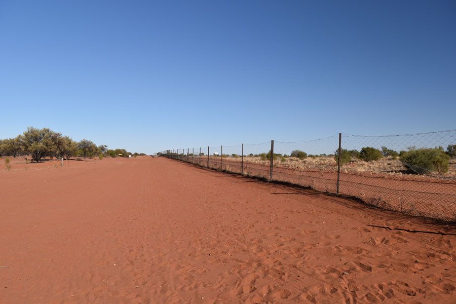 Red dirt road alongside a wire fence under a blue sky, in an arid landscape.