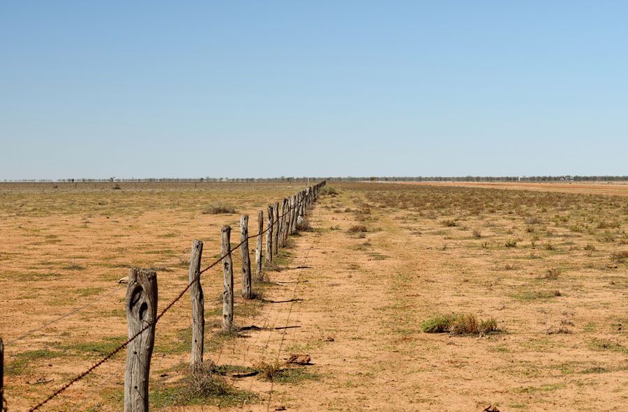 Fence stretching across a dry, arid landscape under a clear blue sky.