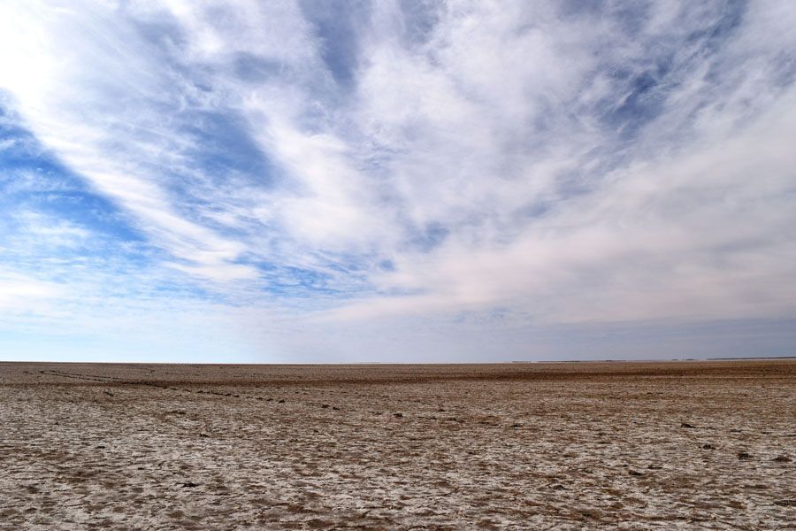 Flat, dry, brown desert landscape with blue sky and streaky white clouds. Horizon in the distance.
