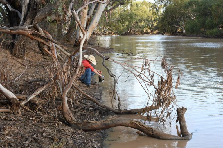 Person in a hat by a muddy river, reaching toward branches. Trees line the riverbank.