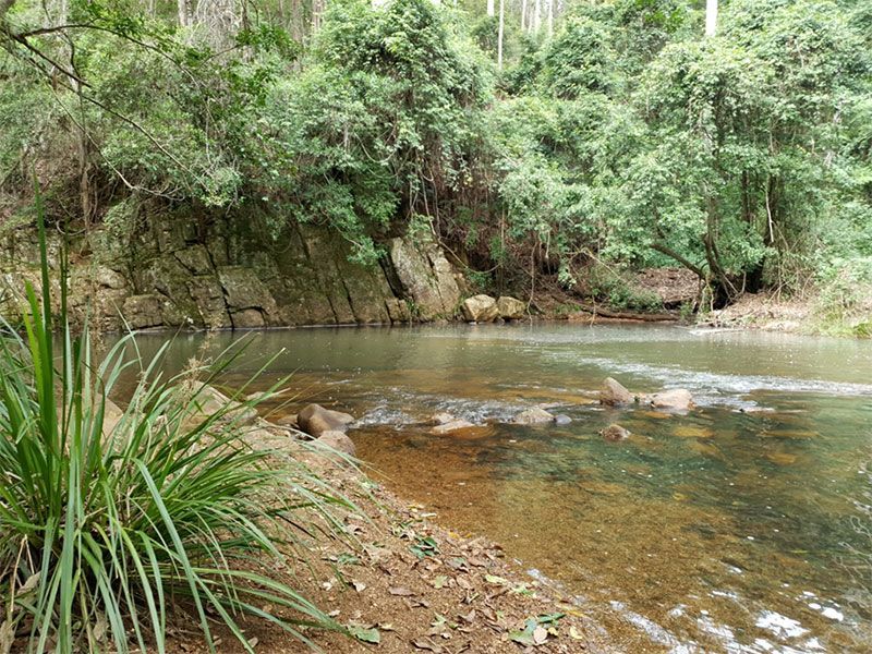 A tranquil river scene with rocky banks, lush green foliage, and clear, shallow water.