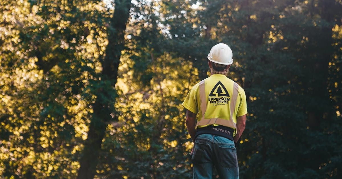 How to Find and Vet Atlanta Tree Services: Supporting Local, Reliable Companies