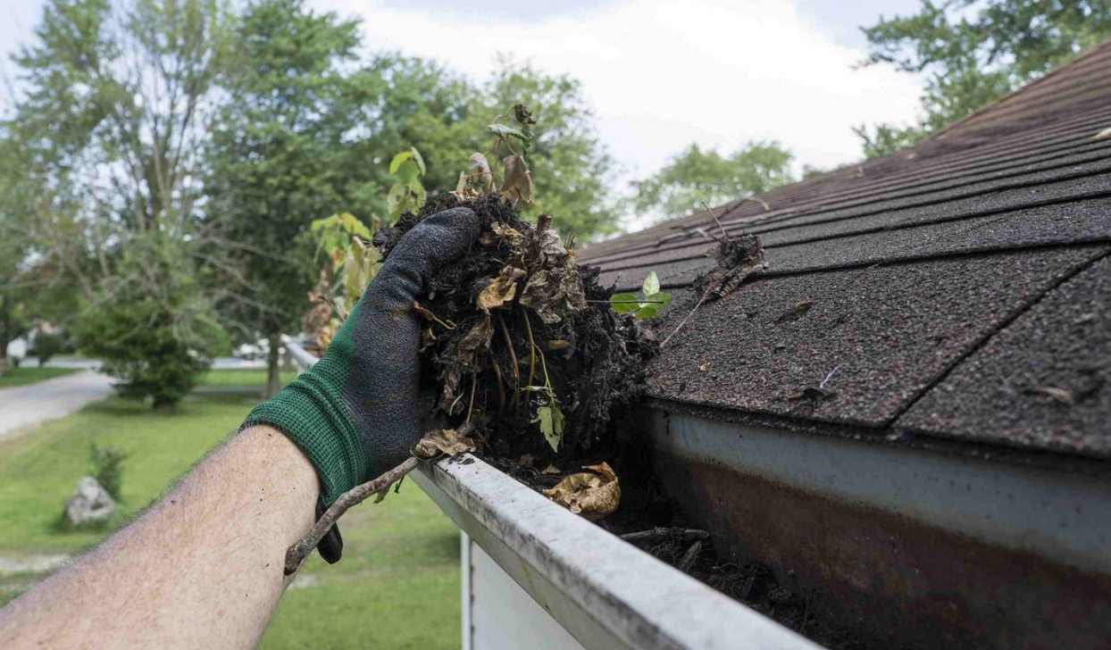 A person is cleaning a gutter from the roof of a house.