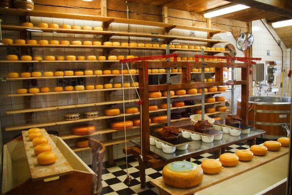 Cheese factory