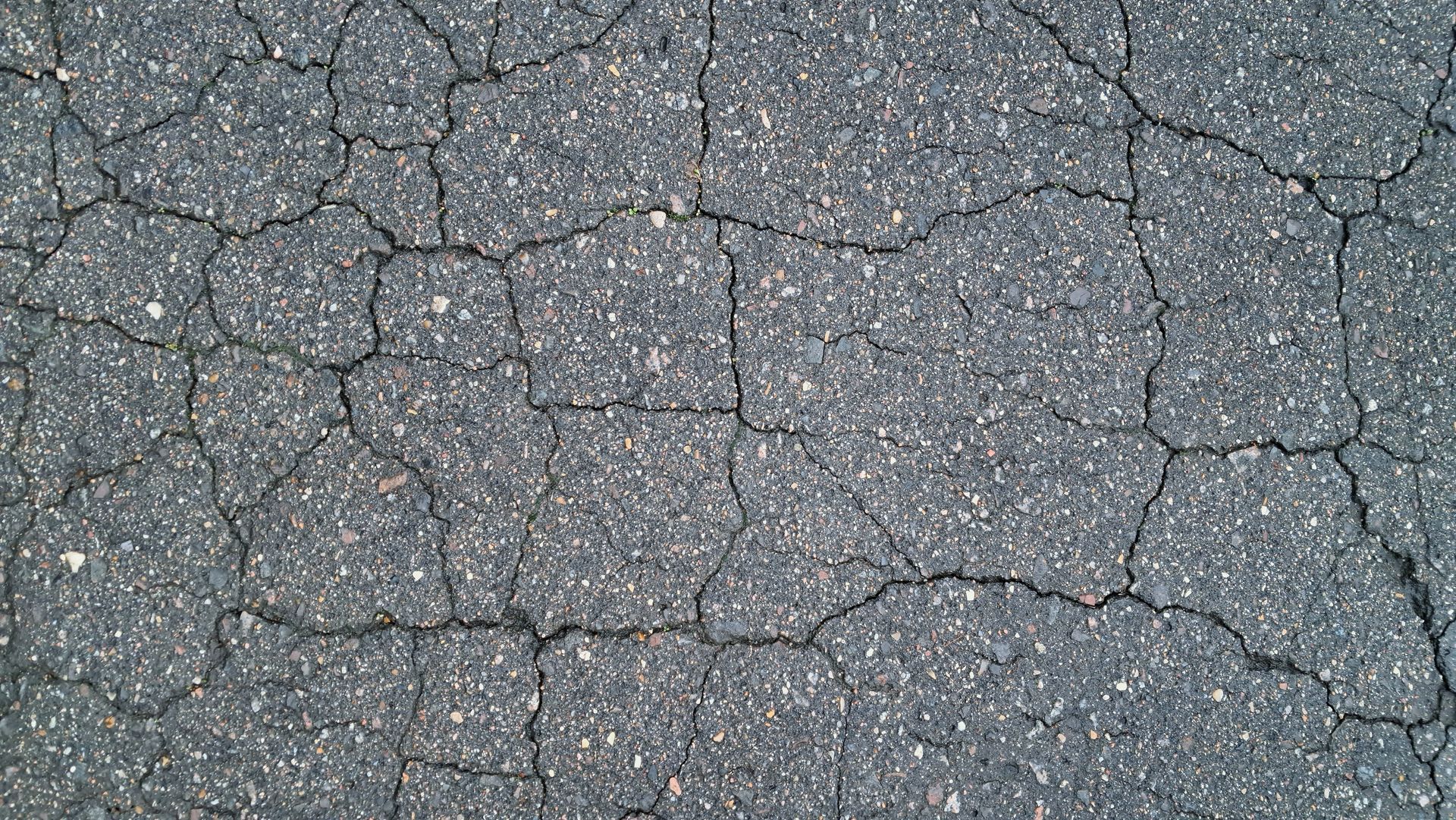 Paving repair contractor inspecting cracked asphalt pavement