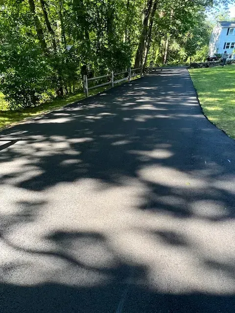 Shadow Of Tree Is Cast On The Asphalt - Worcester, MA - Patriot Seal Coating & Paving