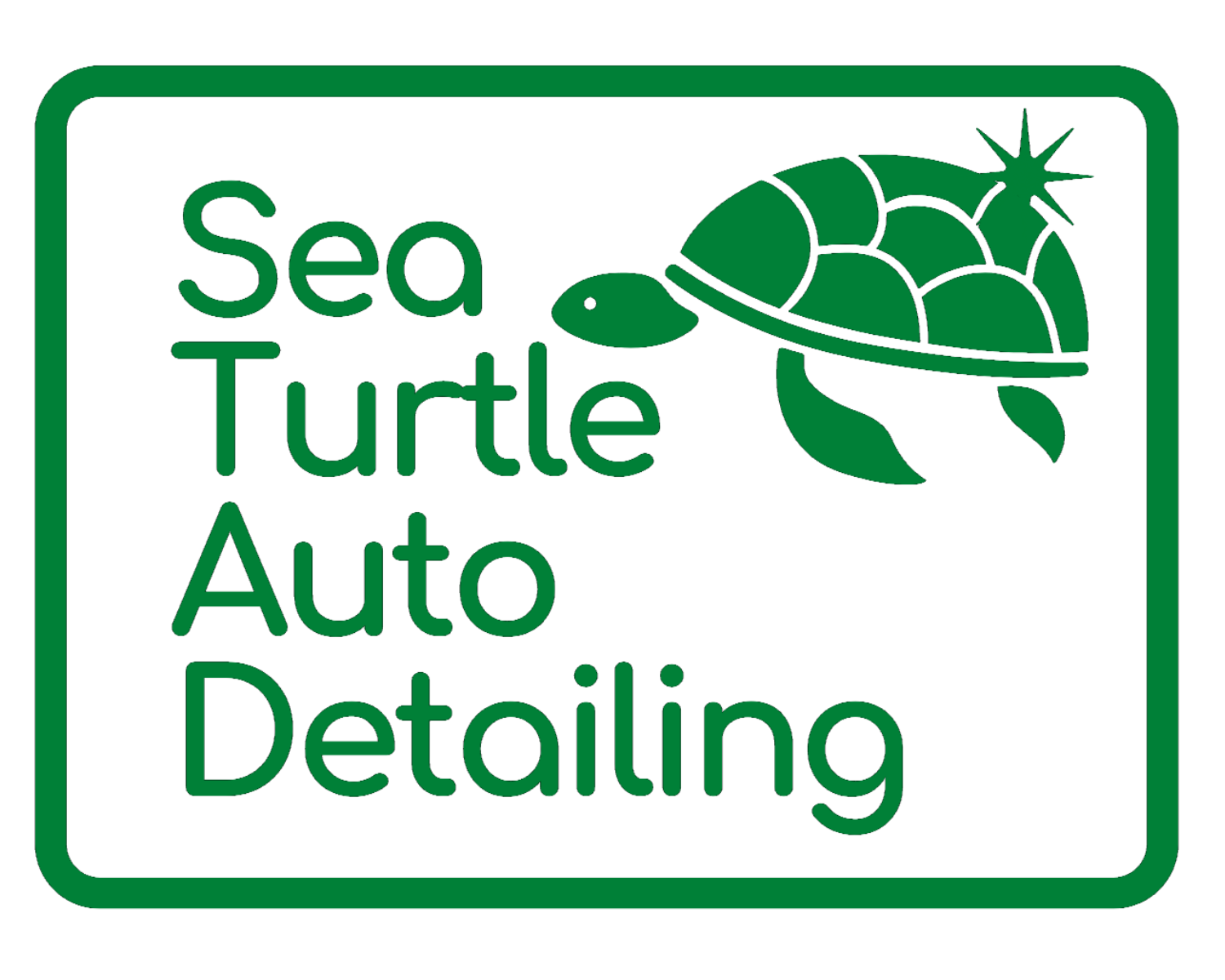 Sea Turtle Auto Detailing