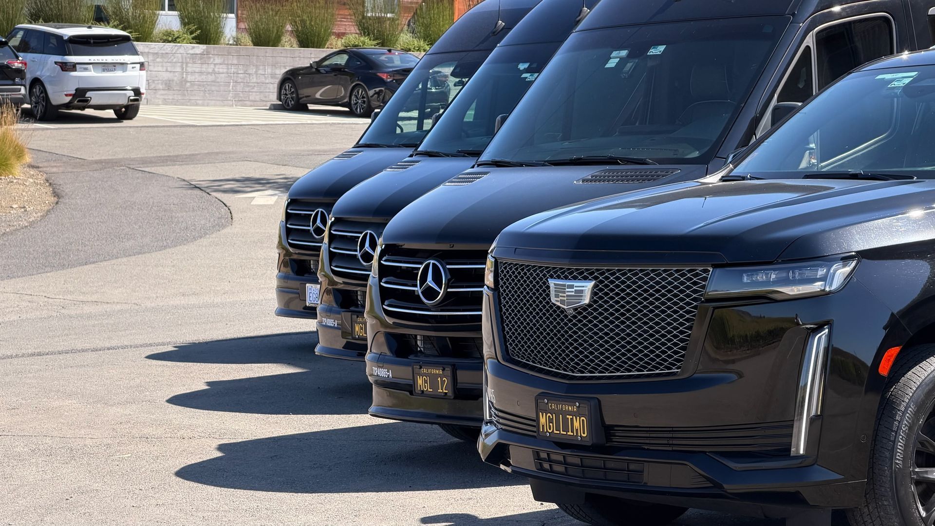 Black vans and SUV parked in a row on a sunny day.