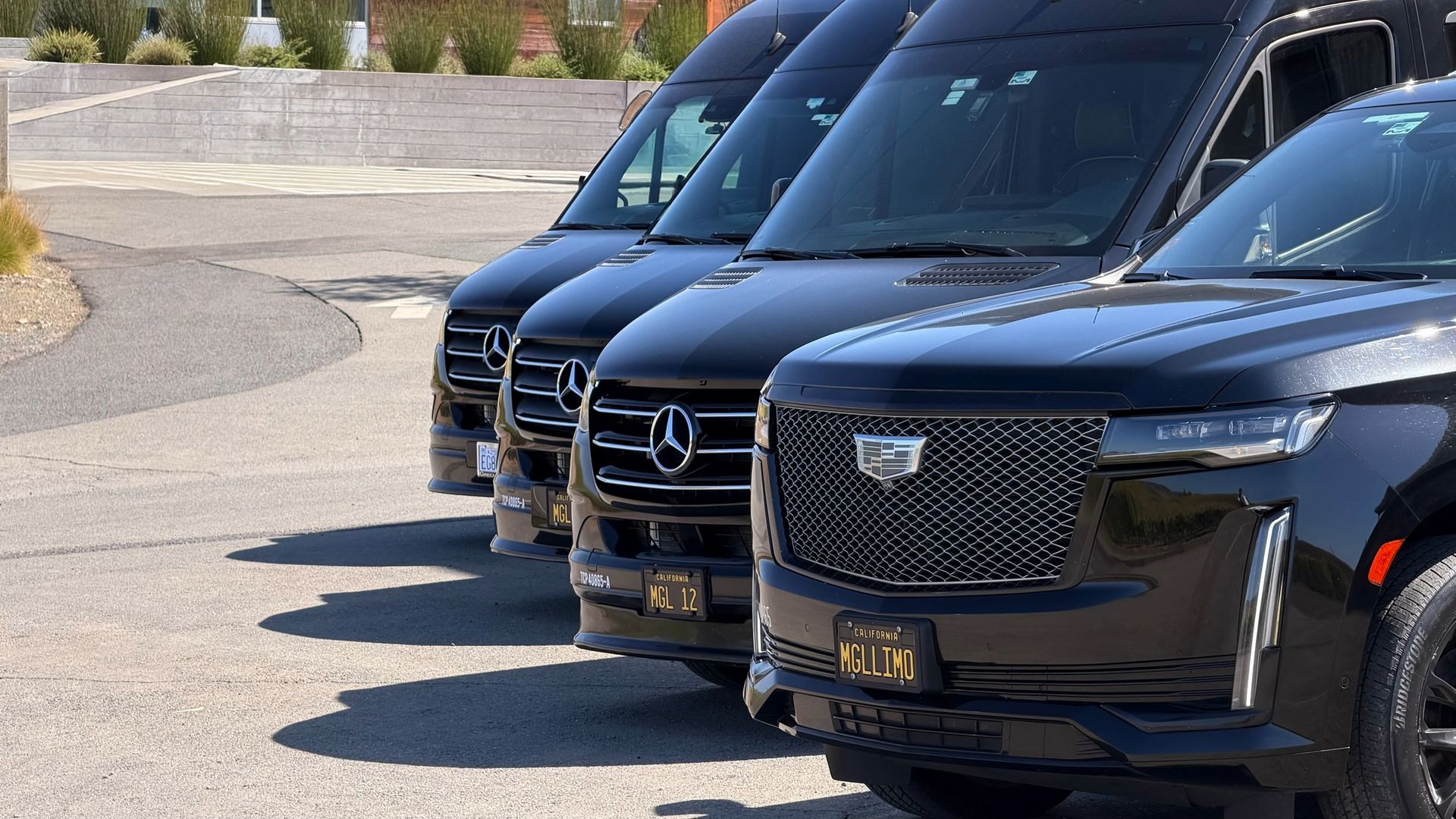 Black vans and SUV parked in a row on a sunny day.