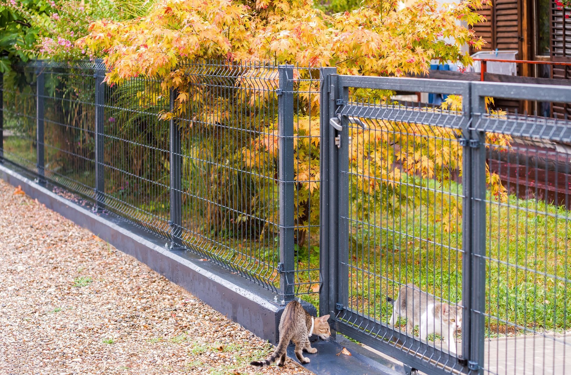 Commercial Fence Installation