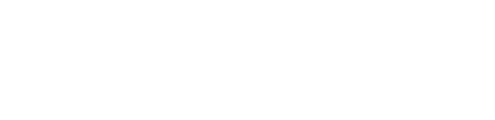 Logo goWIDGETS