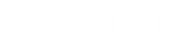 Logo goWIDGETS