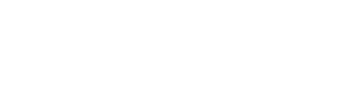 Logo goWIDGETS