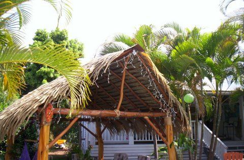 A hut with a thatched roof is surrounded by palm trees