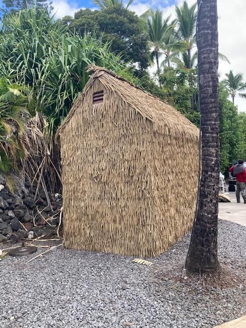 A small hut made of thatched grass is sitting next to a palm tree.