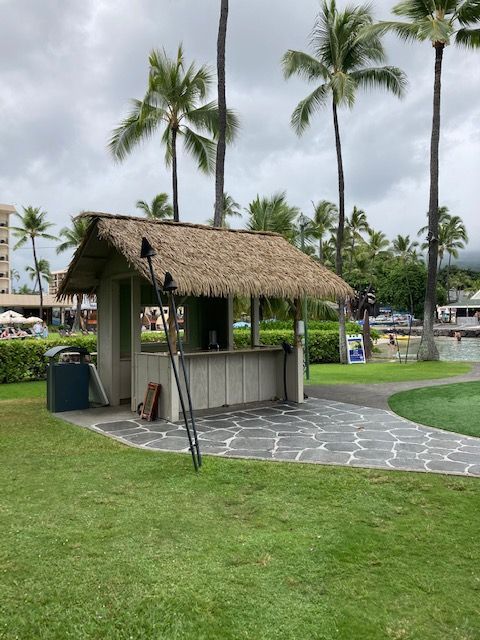 A small hut with a thatched roof is surrounded by palm trees