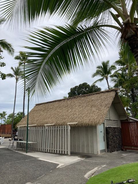 A thatched roofed building with palm trees in the background